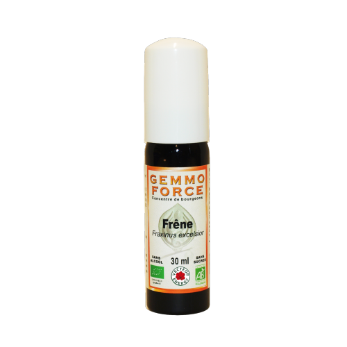 GemmoForce Frêne - sans sucre - sans alcool - Bio - 30 ml - Gemmothérapie - Vecteur Energy