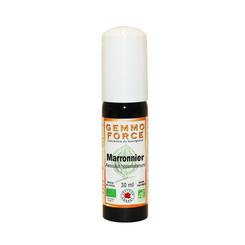 GemmoForce Marronnier - sans sucre - sans alcool - Bio - 30 ml - Gemmothérapie - Vecteur Energy