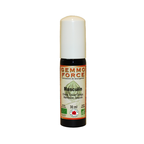 GemmoForce Complexe N°09 - Masculin - sans alcool - Bio - 30 ml - Gemmothérapie - Vecteur Energy