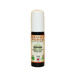 GemmoForce Complexe N°15 - Urinaire - sans alcool - Bio - 30 ml - Gemmothérapie - Vecteur Energy