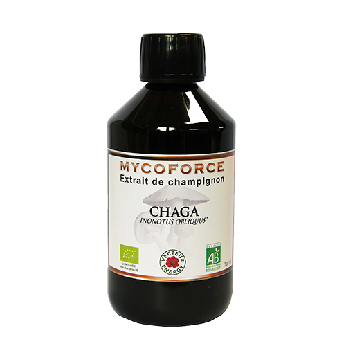 Chaga- 300 ml - Bio* - Mycoforce - Extrait de champignon - Vecteur Energy