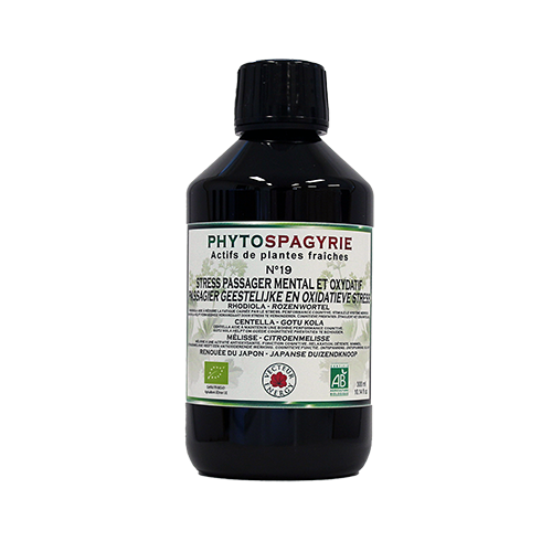 Phytospagyrie N°19 Stress passager mental et oxydatif - Bio* - 300 ml - Synergie de plantes biologiques* - Vecteur Energy