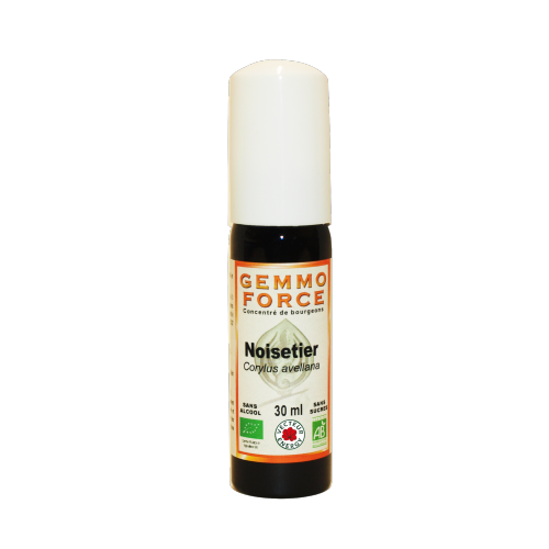 GemmoForce Noisetier - sans sucre - sans alcool - Bio - 30 ml - Gemmothérapie - Vecteur Energy