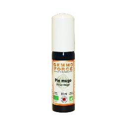 GemmoForce Pin mugo - sans sucre - sans alcool - Bio - 30 ml - Gemmothrapie - Vecteur Energy