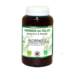 Alchemille vulgaire - Bio* - 180 gélules de plante - Phytothérapie - Vecteur Energy