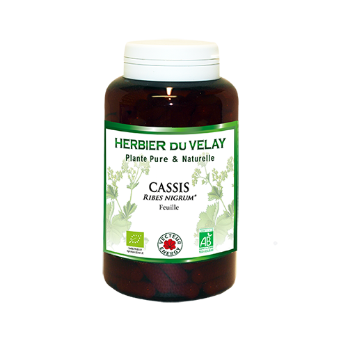 Cassis - Bio* - 180 gélules de plante - Phytothérapie - Vecteur Energy