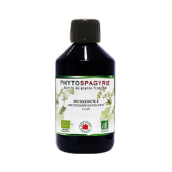 Busserole - Bio* - 300 ml - Phytospagyrie - Extrait de plante - Vecteur Energy