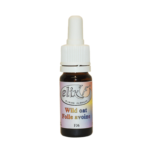 ELIX'F N°36 - Folle avoine / Wild oat - 10 ml - Elixir floral - Fleur de Bach - Vecteur Energy