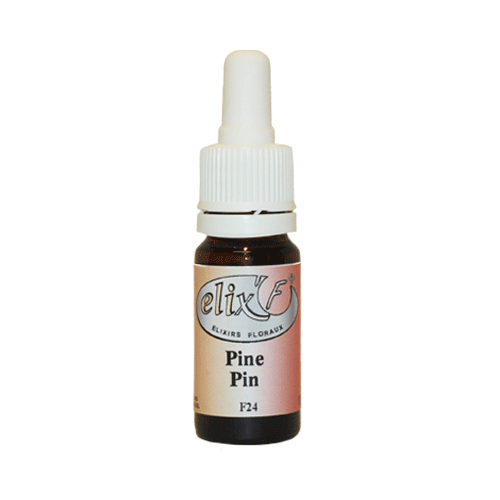 ELIX'F - Pin / Pine N°24 - 10 ml - Elixir floral - Fleur de Bach - Vecteur Energy