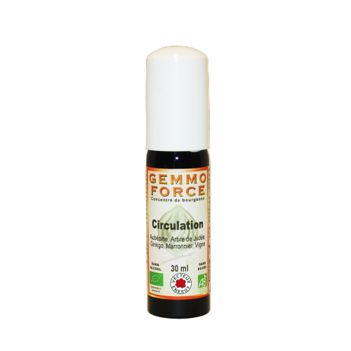 GemmoForce Complexe N°03 - Circulation - sans alcool - Bio - 30 ml - Gemmothérapie - Vecteur Energy