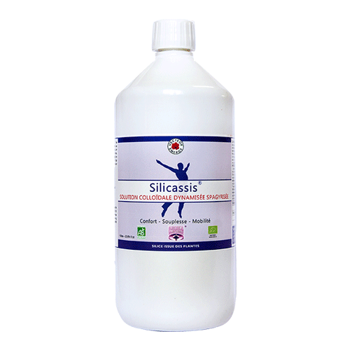 SILICASSIS - Bio* - 1 litre - Silicium  - Vecteur Energy