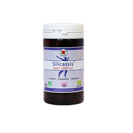 SILICASSIS - 60 Gélules - Bio* - Silicium - Vecteur Energy