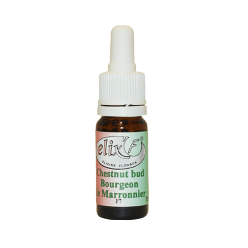 ELIX'F - Bourgeon de marronnier / Chestnut bud N°7 - 10 ml - Elixir floral - Fleur de Bach - Vecteur Energy