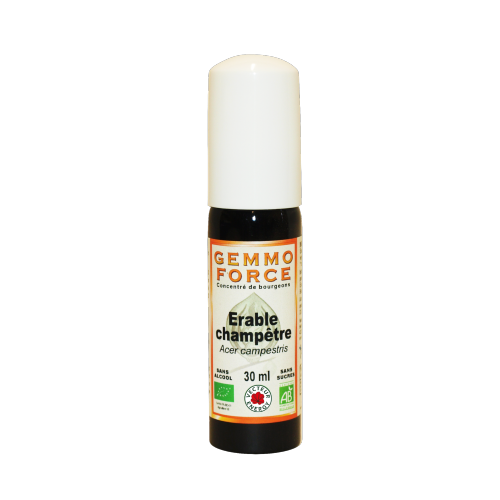 GemmoForce Erable Champêtre - sans sucre - sans alcool - Bio - 30 ml - Gemmothérapie - Vecteur Energy