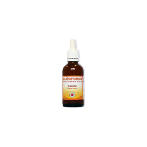 Huile végétale Carotte (Macérat huileux) - 50 ml - Vecteur Energy