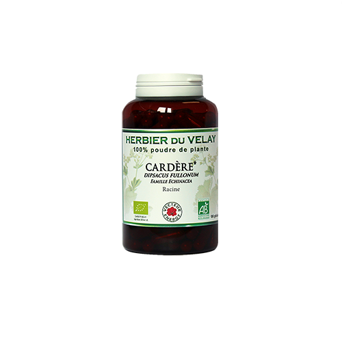 Cardère - Bio* - 180 gélules de plante - Phytothérapie - Vecteur Energy