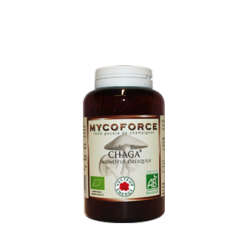 Chaga- 150 glules - Bio* - Mycoforce - Poudre de champignon - Vecteur Energy