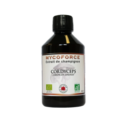 Cordyceps- 300 ml - Bio* - Mycoforce - Extrait de champignon - Vecteur Energy