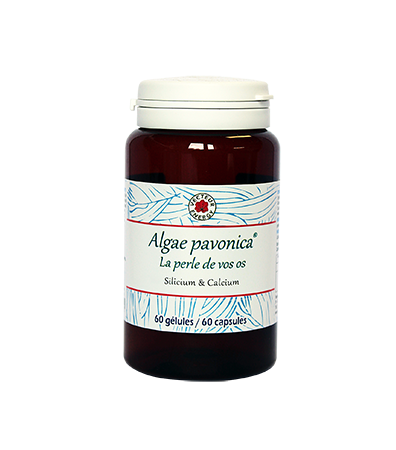 Algae padina pavonica - 60 gélules - Algothérapie - Vecteur Energy