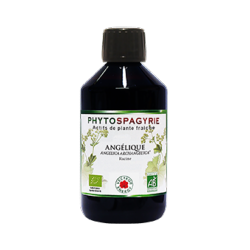 Anglique - Bio* - 300 ml