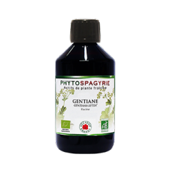Gentiane - 300 ml - Phytospagyrie - Extrait de plante biologique* - Vecteur Energy