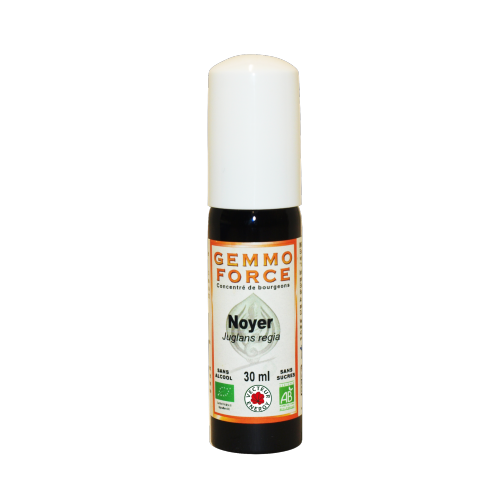 GemmoForce Noyer - sans sucre - sans alcool - Bio - 30 ml - Gemmothérapie - Vecteur Energy