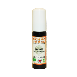 GemmoForce Sorbier - sans sucre - sans alcool - Bio - 30 ml - Gemmothérapie - Vecteur Energy