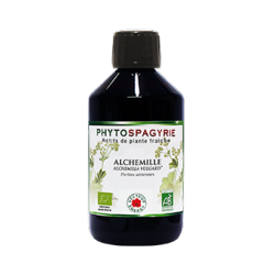 Alchemille vulgaire - Bio* - 300 ml