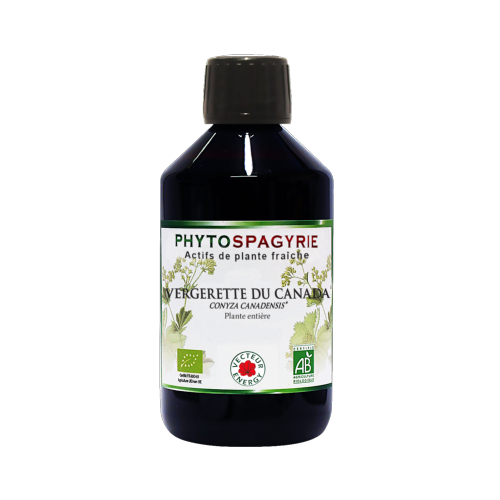 Vergerette du Canada - 300 ml - Phytospagyrie - Extrait de plante biologique* - Vecteur Energy