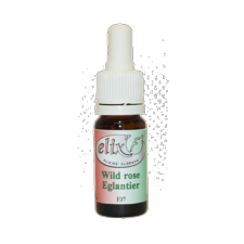 ELIX'F N°37 - Églantier / Wild rose - 10 ml - Elixir floral - Fleur de Bach - Vecteur Energy