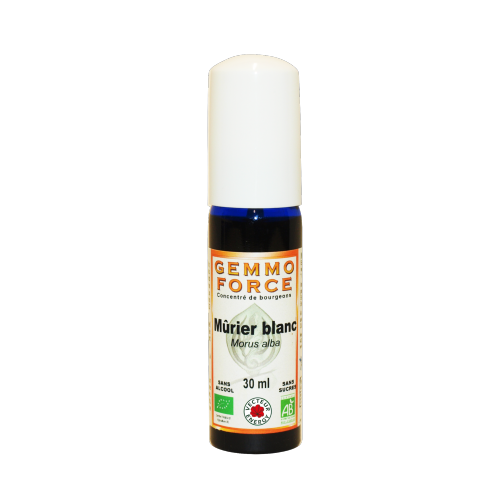 GemmoForce Mûrier blanc - sans sucre - sans alcool - Bio - 30 ml - Gemmothérapie - Vecteur Energy